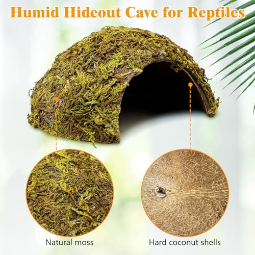 4 Pack Natural Green Moss Hermit Crab Hide Caves Coconut Reptile Hideouts (Moss Surface / 4 PCS)