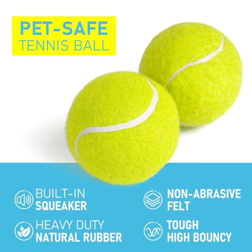Tennis Balls for Dogs 3 Pack 2.5” (2.5" Non-Squeaky / 3 Pack, Yellow)