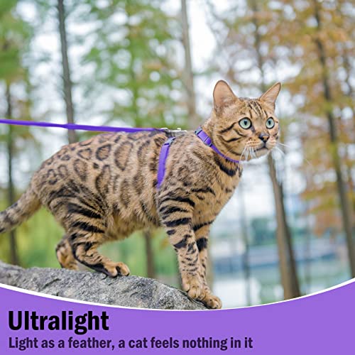 Adjustable Cat Harness and Leash Set Escape Proof Kitten Strap Collar for Walking Travel (Small / Purple)