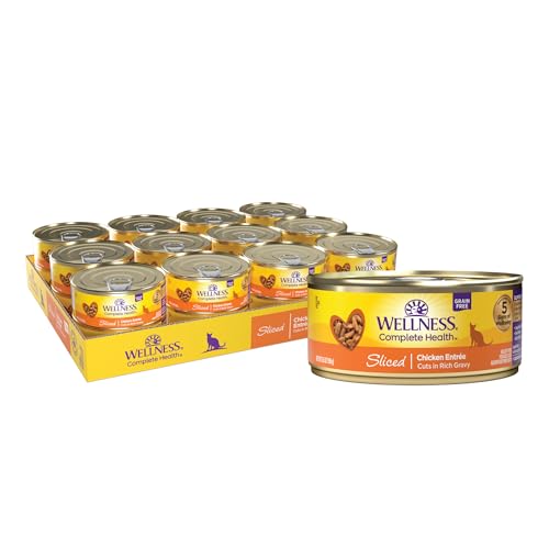 Complete Health Sliced Adult Canned Wet Cat Food (5.5 Ounce (Pack of 24))