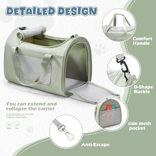 Extra Large Cat Carrying Case Pet Dog Carrier Soft (Mint Green)