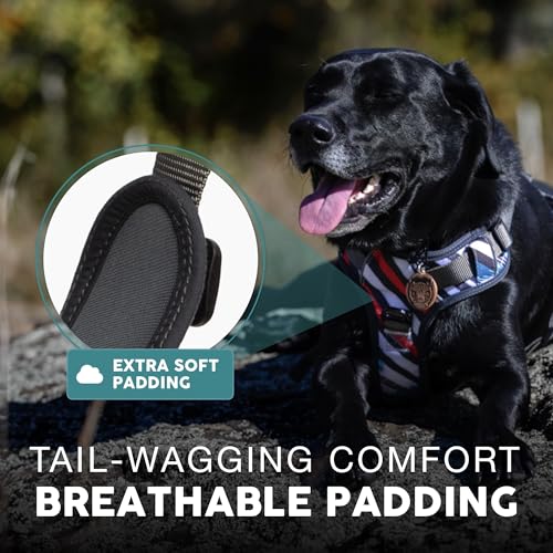Embark No Pull Dog Harness (XS / Maverick)