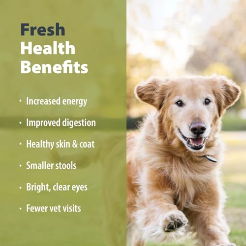 Pantry Fresh Wet Dog Food (12.5 Ounce (Pack of 6))