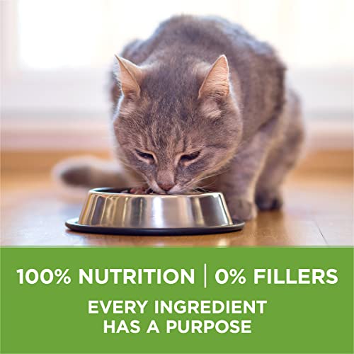 Natural Indoor Dry Cat Food (7 Pound (Pack of 1))