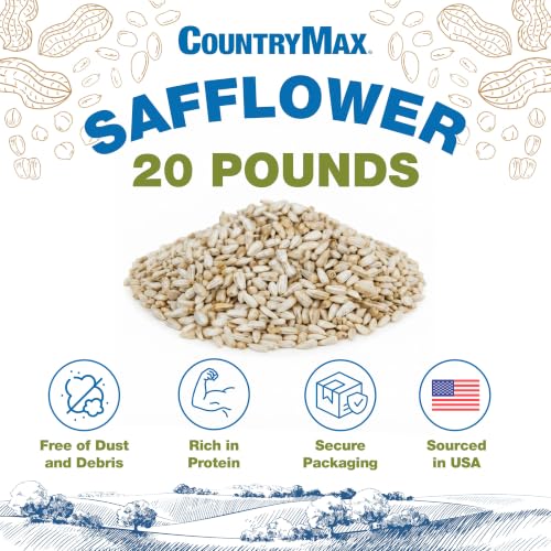 20LB Safflower Bird Seeds for Outside Feeders (Safflower / 20 Pound (Pack of 1))