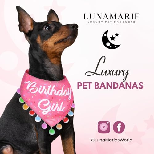 Luxury Pet Birthday Bandanas (Birthday Girl / Large)