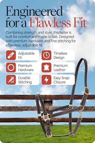 Fremont Soft Synthetic Leather Horse Halter (Brown / Horse)
