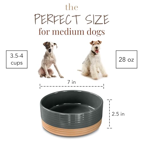 Ceramic Pet Bowl Size Medium (Medium / Charcoal)