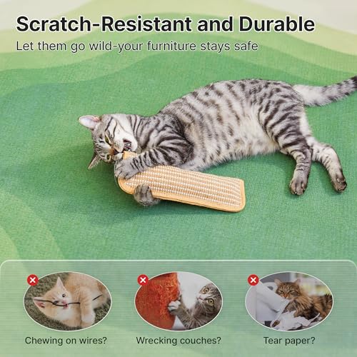 Cat Toys Pack of 2 with 6000mg A+ Organic Catnip
