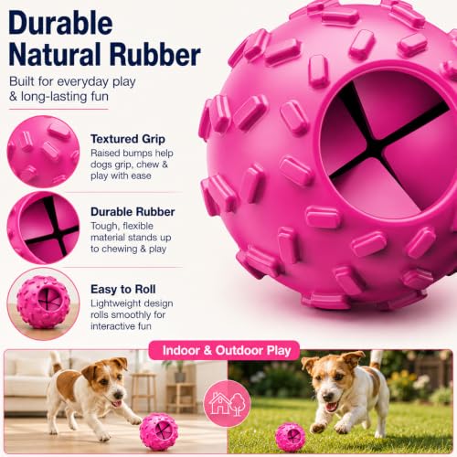 Treat Dispensing Dog Toy (Purple)
