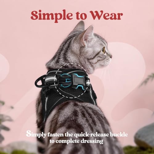 Cat Harness and Leash Set (XL / Black)