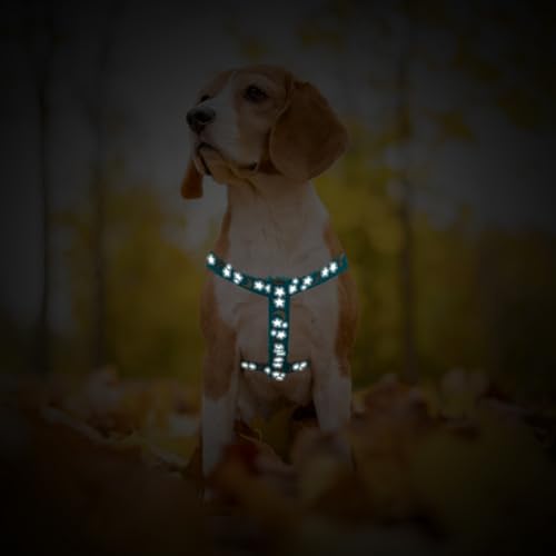 No Pull Dog Harness Small Sized Step (Light Blue Moon Star / Small)
