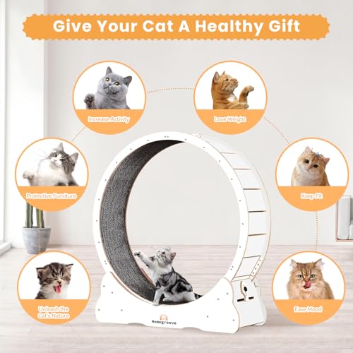 Cat Running Wheel (XL / White)