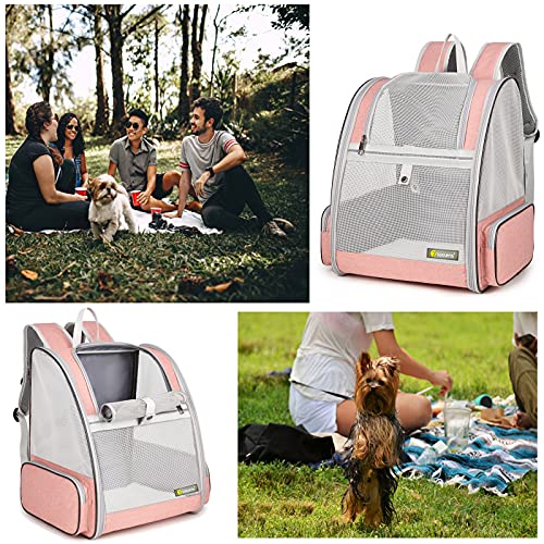 Innovative Traveler Bubble Backpack Pet Carriers for Cats and Dogs (Mesh Pink)