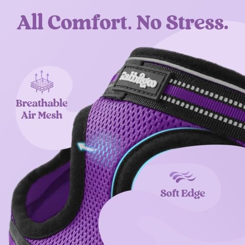 Cat Harness and Leash Set (L / Purple)