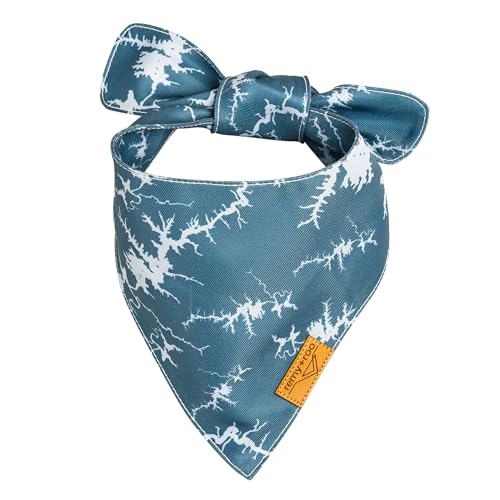 Powell Summer Dog Bandanas Large (Large)