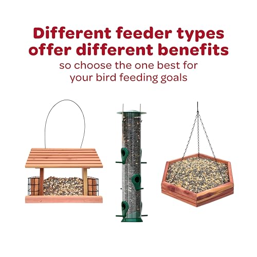 Wild Finch Bird Food Stand Up Bag (5 Pound (Pack of 1))