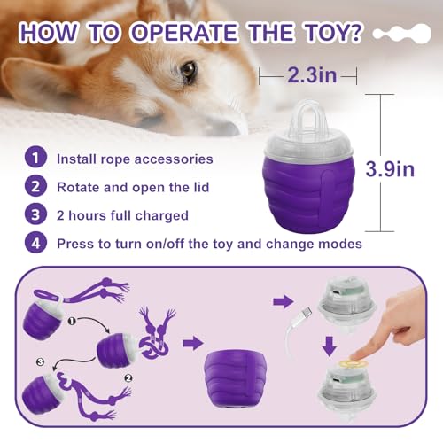 Interactive Dog Toy (Purple / Medium/Large)