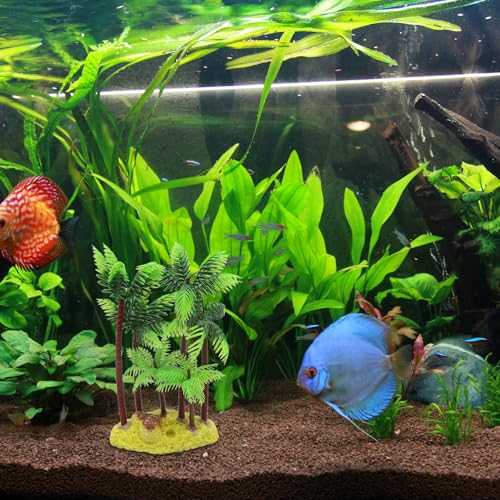 Aquarium Decoration