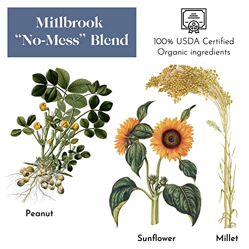 Premium Organic Wild Bird Seed