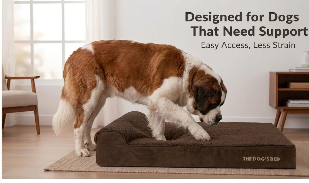 The Dog’s Bed Orthopedic Memory Foam Dog Bed with Headrest XXL (Brown Plush / XXL (54"L x 36"W x 4"Th))