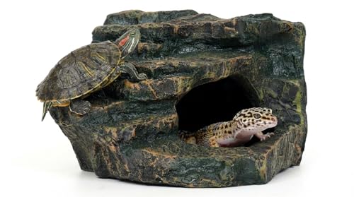 Gecko Tank Acccessories (M-Smooth ledge / Medium)