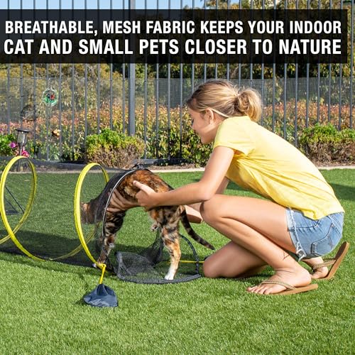 Outdoor Cat Enclosure for Indoor Cats (Fun Run Cat Tunnel)