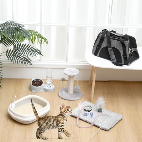 10 Pcs Kitten Starter Kit for Indoor (Cute / Medium / Gray)