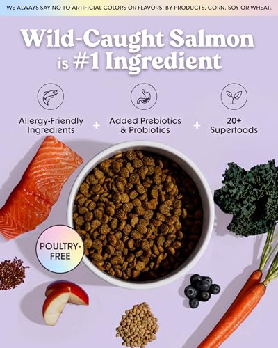 Salmon Probiotic Dry Dog Food (18 Pound)
