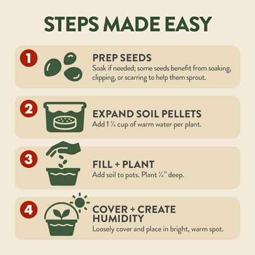4 Bonsai Tree Starter Kit