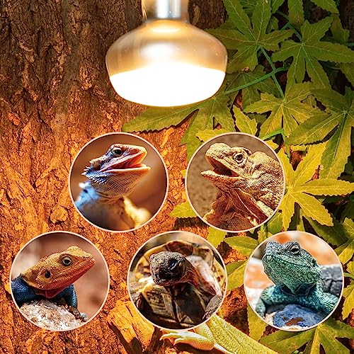 2 Pack Heat Lamp 150W (Natural Basking Light Bulb 150W)