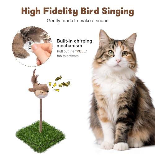 Interactive Cat Toy for Indoor Cats (Green & Brown-Square)