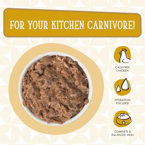 Cats in the Kitchen (3.2 Ounce (Pack of 24))