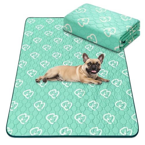 Washable Pee Pads for Dogs (Green / 39" x 63" (1 Pack))