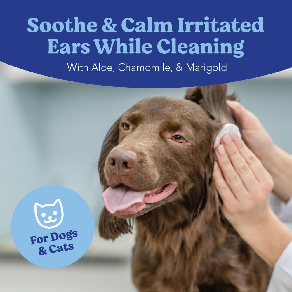 Dog & Cat Ear Wipes 100ct (100 Count (Pack of 1) / Ear Wipes)