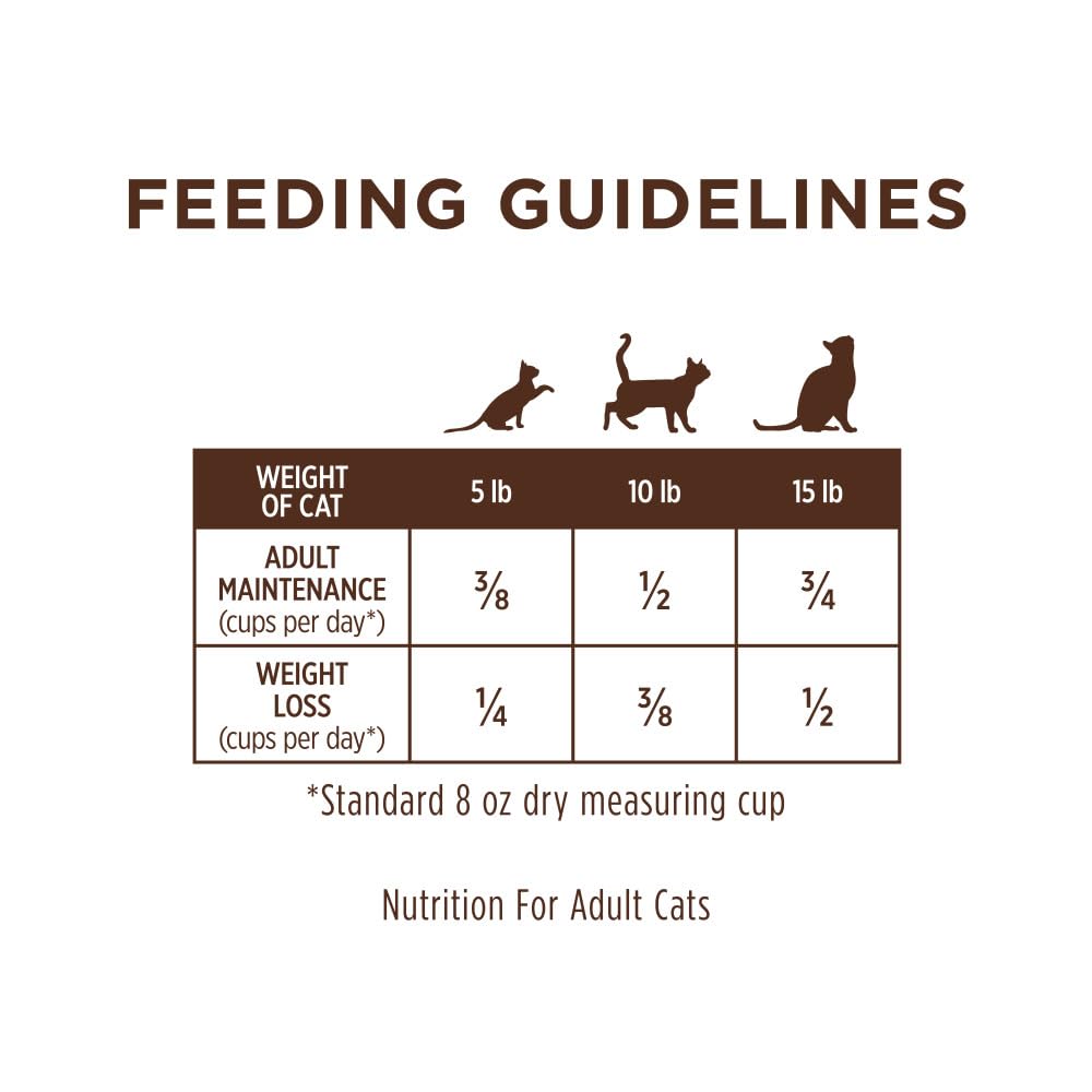 Limited Ingredient Diet Dry Cat Food (11 Pound (Pack of 1))