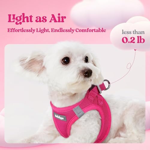 Dog Harness Small Sized and Leash Set (Rose Red / Xs (chest: 13.3 - 15.5"))