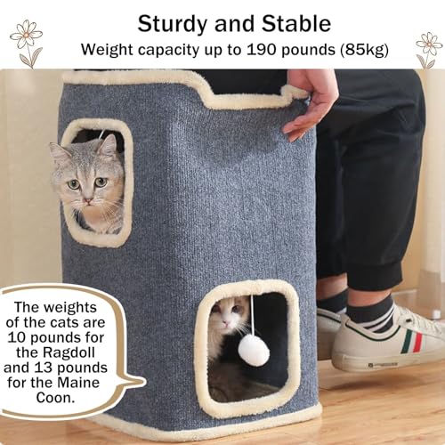 Cat House for Indoor Cat Beds (1-Level)