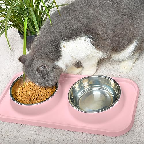 Cat Food Bowls (Pink)