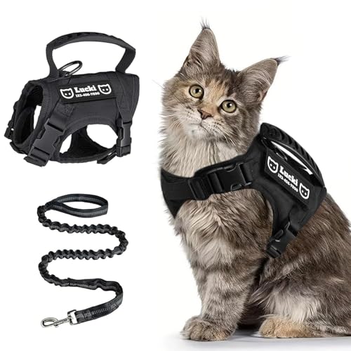 Tactical Cat Harness for Large Cats with Patches (Black)
