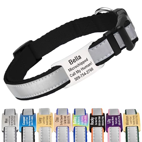 Reflective Dog Collar with Personalized Nameplate (Reflective / X-Small (Pack of 1))