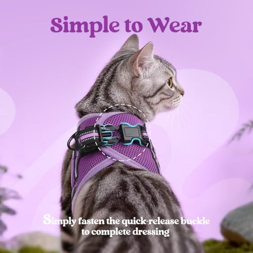 Cat Harness and Leash Set (L / Purple-Light Purple)
