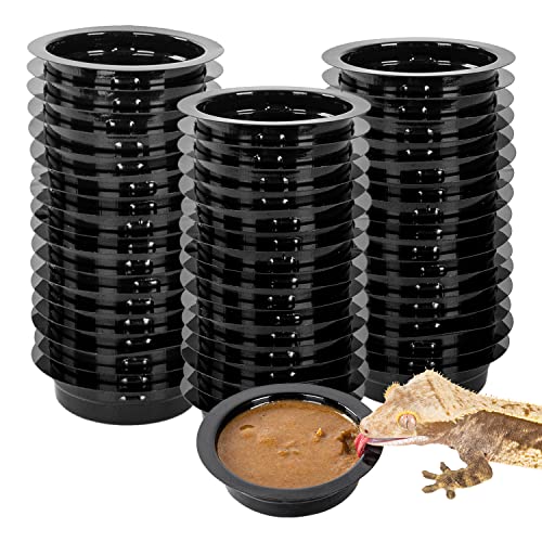 Feeding Cups 50PCS for Magnetic Feeding Ledge