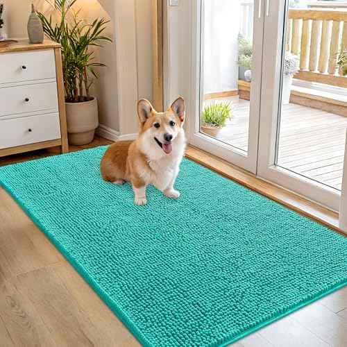 Dog Door Mat for Muddy Paws 54x32 (Teal / 54" X 32")