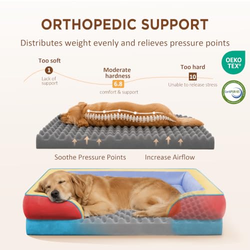 Orthopedic Dog Bed for Extra Large Dogs with Bolster (42.0"L x 30.0"W x 8.5"Th / Funfetti Fiesta)