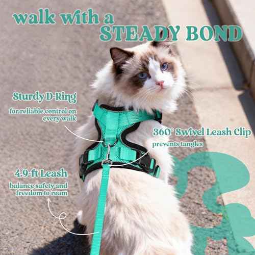 Cat Harness and Leash Set (M / Emerald)
