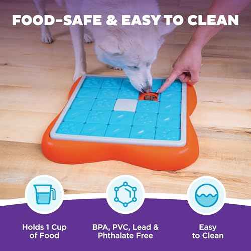 Nina Ottosson Challenge Slider Dog Toy Treat Puzzle