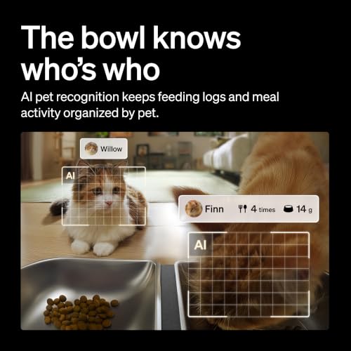 Automatic Cat Feeder for 2 Cats (Black / 5l dual bowl)