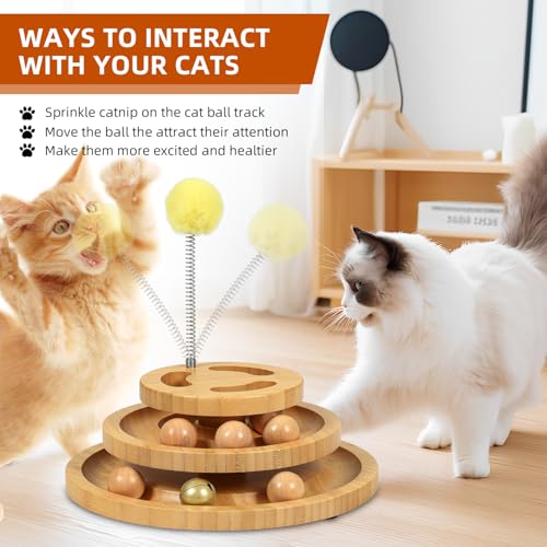 Cat Ball Track with Puzzle Top (Large - Plus)