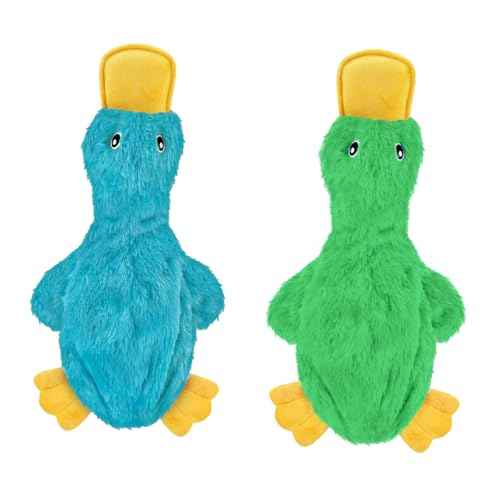 2-in-1 Stuffless Squeaky Dog Toy - 2 Crinkle Ducks, Large (Crinkle Duck (Light Green & Turquoise) / Large)